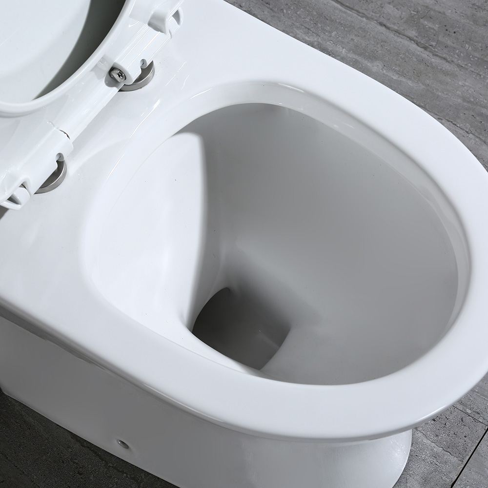ᐅ【WOODBRIDGE Moder Design, Elongated One piece Toilet Dual flush 1.0/1.