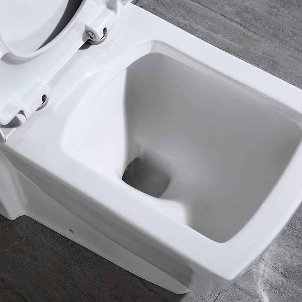 ᐅ【WOODBRIDGE T0020 Dual Flush Elongated One Piece Toilet with Soft