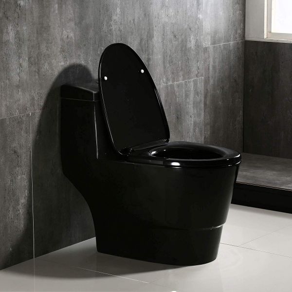 Black Toilet