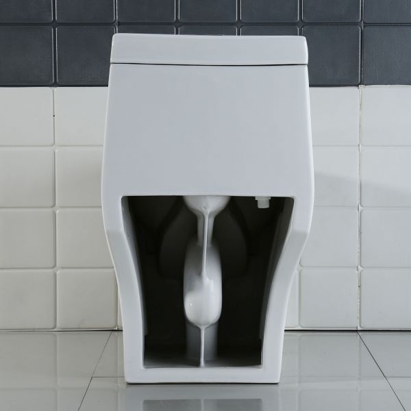  WOODBRIDGE T-0019, Dual Flush Elongated One Piece Toilet with Soft Closing Seat, Chair Height, Water Sense, High-Efficiency, T-0019 Rectangle Button_9923
