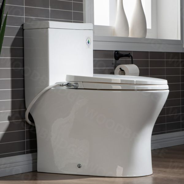  WOODBRIDGE T-0045 Modern One Piece Elongated High Effiency Toilet with Manual Operated Soft-Closed Toilet Seat, White_7915
