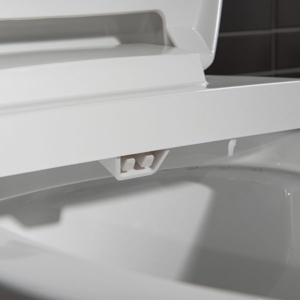  WOODBRIDGE T-0045 Modern One Piece Elongated High Effiency Toilet with Manual Operated Soft-Closed Toilet Seat, White_7924