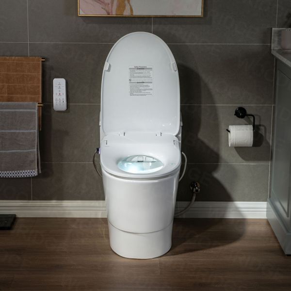  WOODBRIDGE T-0047 One Piece 1.1GPF/1.6 GPF Dual Flush Elongated Toilet with Advance Smart Bidet Toilet in White_7904