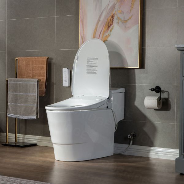  WOODBRIDGE T-0047 One Piece 1.1GPF/1.6 GPF Dual Flush Elongated Toilet with Advance Smart Bidet Toilet in White_7908