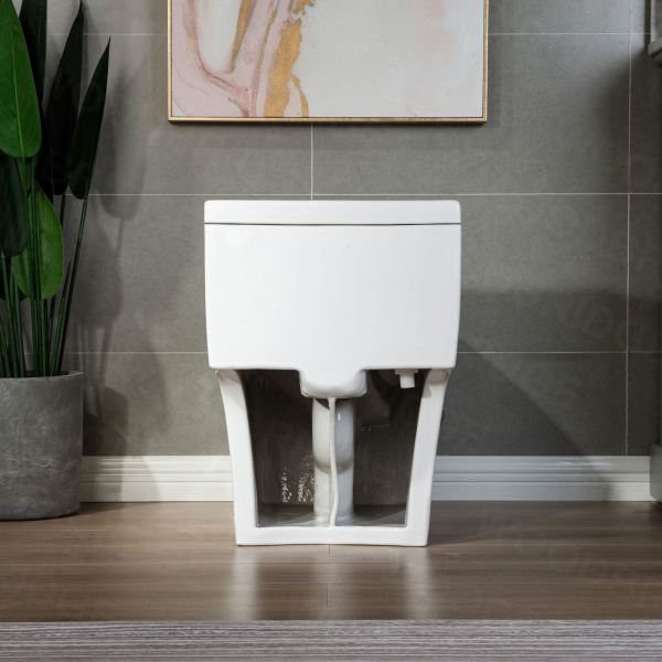  WOODBRIDGE T-0047 One Piece 1.1GPF/1.6 GPF Dual Flush Elongated Toilet with Advance Smart Bidet Toilet in White_7910