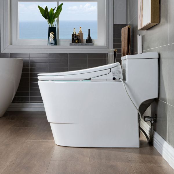  WOODBRIDGE T-0047 One Piece 1.1GPF/1.6 GPF Dual Flush Elongated Toilet with Advance Smart Bidet Toilet in White_7914