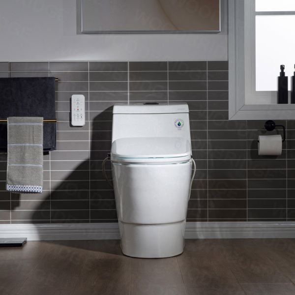 WOODBRIDGE T-0041 Elongated one Piece toilet with Smart Bidet Seat, Electronic Advanced Self Cleaning, Soft Close Lid, Adjustable Water Temperature, LED Nightlight, Heated Seat, Warm air Dryer. WHITE_6583