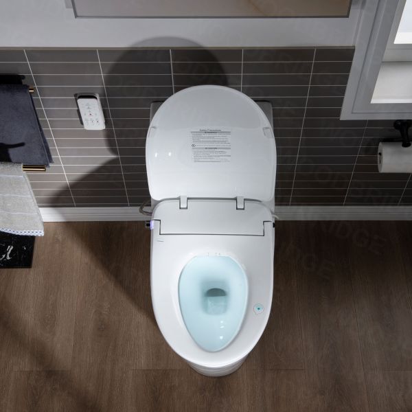  WOODBRIDGE T-0041 Elongated one Piece toilet with Smart Bidet Seat, Electronic Advanced Self Cleaning, Soft Close Lid, Adjustable Water Temperature, LED Nightlight, Heated Seat, Warm air Dryer. WHITE