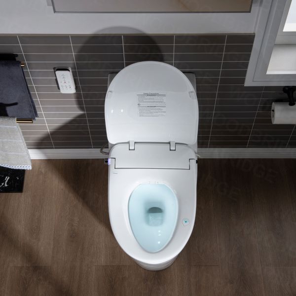 WOODBRIDGE T-0041 Elongated one Piece toilet with Smart Bidet Seat, Electronic Advanced Self Cleaning, Soft Close Lid, Adjustable Water Temperature, LED Nightlight, Heated Seat, Warm air Dryer. WHITE_6588