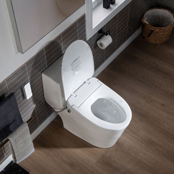 ᐅ Woodbridge T 0041 Elongated One Piece Toilet With Smart Bidet Seat Electronic Advanced Self Cleaning Soft Close Lid Adjustable Water Temperature Led Nightlight Heated Seat Warm Air Dryer White Woodbridge