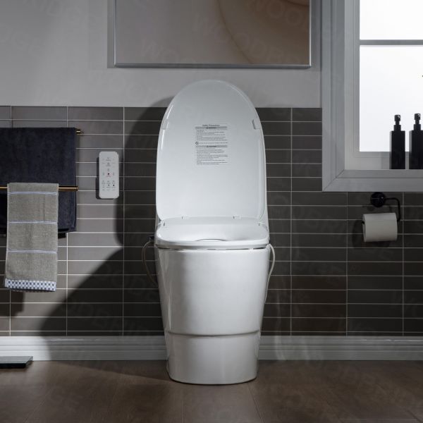  WOODBRIDGE T-0041 Elongated one Piece toilet with Smart Bidet Seat, Electronic Advanced Self Cleaning, Soft Close Lid, Adjustable Water Temperature, LED Nightlight, Heated Seat, Warm air Dryer. WHITE_6592
