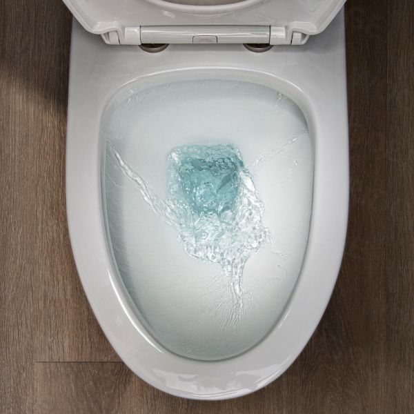  WOODBRIDGE Moder Design, Elongated One piece Toilet Dual flush 1.0/1.6 GPF,with Soft Closing Seat, white, T-0032(2 -Pack)_6482