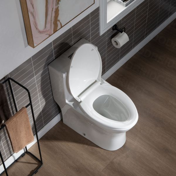  WOODBRIDGE Moder Design, Elongated One piece Toilet Dual flush 1.0/1.6 GPF,with Soft Closing Seat, white, T-0032(2 -Pack)