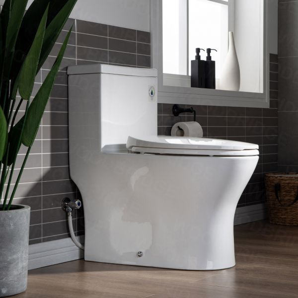 WOODBRIDGE Moder Design, Elongated One piece Toilet Dual flush 1.0/1.6 GPF,with Soft Closing Seat, white, T-0032(2 -Pack)_6489