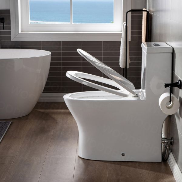  WOODBRIDGE Moder Design, Elongated One piece Toilet Dual flush 1.0/1.6 GPF,with Soft Closing Seat, white, T-0032(2 -Pack)_6490