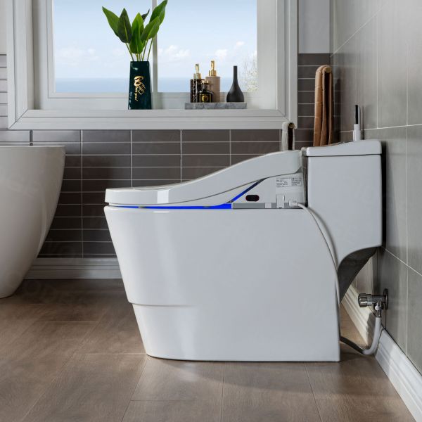  WOODBRIDGE Toilet & Bidet Luxury Elongated One Piece Advanced Smart Seat with Temperature Controlled Wash Functions and Air Dryer, Toilet with Bidet. T-0737, Bidet & Toilet_9725
