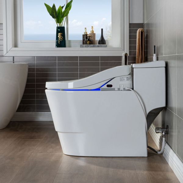 ELLAI Smart Toilet with Bidet Built In, Bidet Toilet with Remote Contr