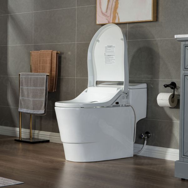 ᐅ【WOODBRIDGE T-0041 Elongated one Piece toilet with Smart Bidet