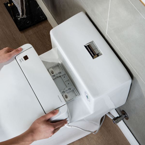  WOODBRIDGE Toilet & Bidet Luxury Elongated One Piece Advanced Smart Seat with Temperature Controlled Wash Functions and Air Dryer, Toilet with Bidet. T-0737, Bidet & Toilet_9731