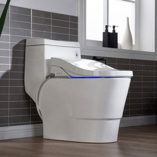 ᐅ【WOODBRIDGE Intelligent Compact Elongated Dual-flush wall hung toilet with  Bidet Wash Function, Heated Seat & Dryer. Matching Concealed Tank system  and White Marble Stone Slim Flush Plates Included.LT611 +  SWHT611+FP611-WH-WOODBRIDGE】