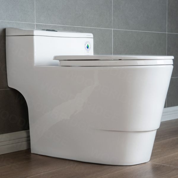  WOODBRIDGE T-0018/B-0735 Dual Flush Elongated One Piece Soft Closing Seat, Comfort Height, White T-0018/B0735, Modern Toilet_9775