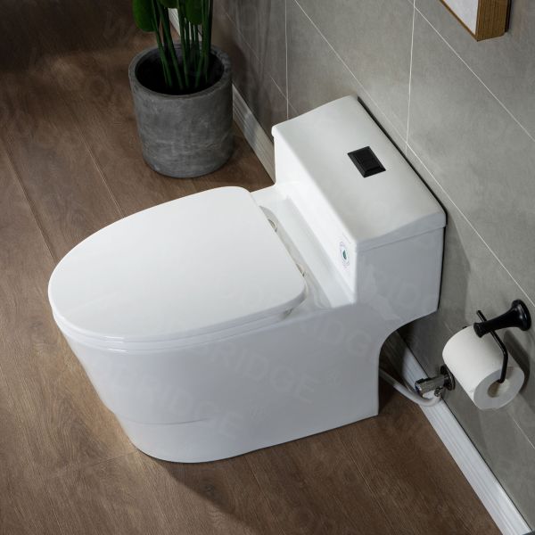  WOODBRIDGE T-0018/B-0735 Dual Flush Elongated One Piece Soft Closing Seat, Comfort Height, White T-0018/B0735, Modern Toilet_9776
