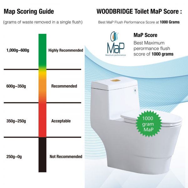  WOODBRIDGEE One Piece Toilet with Soft Closing Seat, Chair Height, 1.28 GPF Dual, Water Sensed, 1000 Gram MaP Flushing Score Toilet with Brushed Gold Button T0001-BG, White_5710