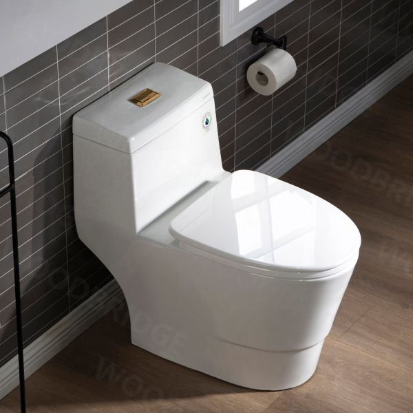  WOODBRIDGEE One Piece Toilet with Soft Closing Seat, Chair Height, 1.28 GPF Dual, Water Sensed, 1000 Gram MaP Flushing Score Toilet with Brushed Gold Button T0001-BG, White_5714
