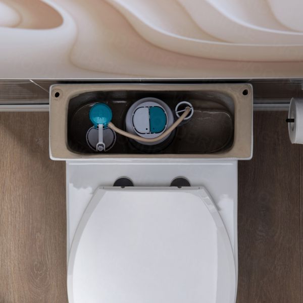  WOODBRIDGE One Piece Short Compact Bathroom Tiny Mini Commode Water Closet Dual Flush Concealed Trapway, Brushed Gold Button B0500-BG, White_5671