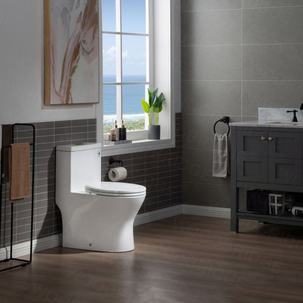  WOODBRIDGE One Piece Short Compact Bathroom Tiny Mini Commode Water Closet Dual Flush Concealed Trapway, Brushed Gold Button B0500-BG, White_5675