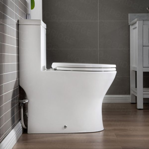  WOODBRIDGE One Piece Short Compact Bathroom Tiny Mini Commode Water Closet Dual Flush Concealed Trapway, Brushed Gold Button B0500-BG, White