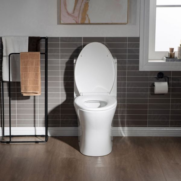  WOODBRIDGE Modern One Piece Dual Flush 1.28 GP Toilet,with Soft Closing Seat, V Button B0750-B/N, White
