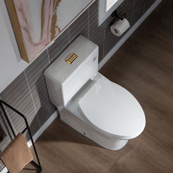  WOODBRIDGE Modern One Piece Dual Flush 1.28 GP Toilet,with Soft Closing Seat, Brushed Gold Button B0750-BG, White_5619