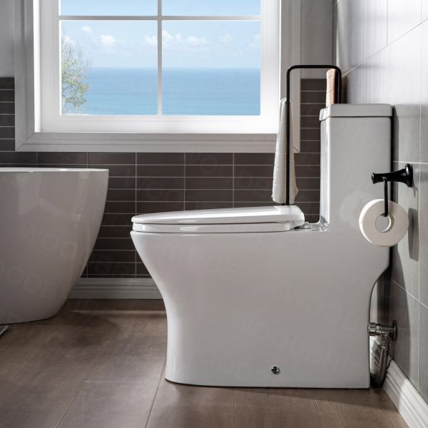  WOODBRIDGE Modern One Piece Dual Flush 1.28 GP Toilet,with Soft Closing Seat, Brushed Gold Button B0750-BG, White_5618