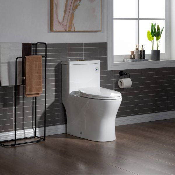  WOODBRIDGE Modern One Piece Dual Flush 1.28 GP Toilet,with Soft Closing Seat, Brushed Gold Button B0750-BG, White