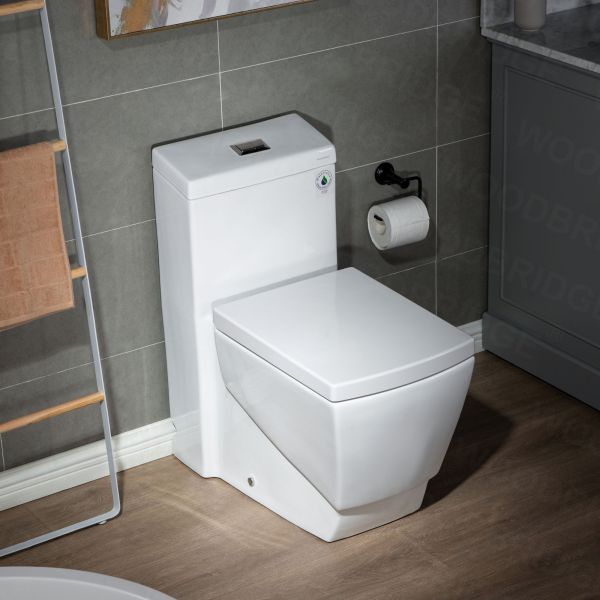  WOODBRIDGE Modern Square Design One Piece Dual Flush 1.28 GP Toilet,Chair Height with Soft Closing Seat, Brushed Nickel Button B0920-B/N, White_5589