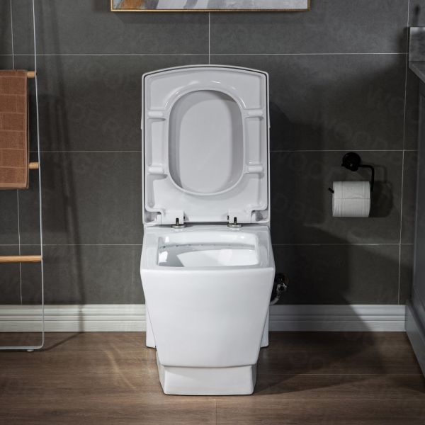  WOODBRIDGE Modern Square Design One Piece Dual Flush 1.28 GP Toilet,Chair Height with Soft Closing Seat, Brushed Nickel Button B0920-B/N, White_5598