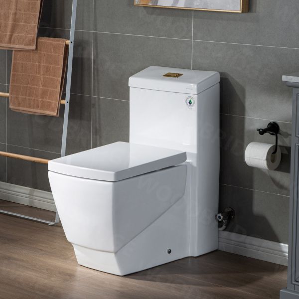  WOODBRIDGE Modern Square Design One Piece Dual Flush 1.28 GP Toilet,Chair Height with Soft Closing Seat, Brushed Gold Button B0920-BG, White_5576