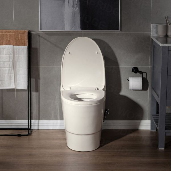  WOODBRIDGEE One Piece Toilet with Soft Closing Seat, Chair Height, 1.28 GPF Dual, Water Sensed, 1000 Gram MaP Flushing Score Toilet, B0942, Biscuit