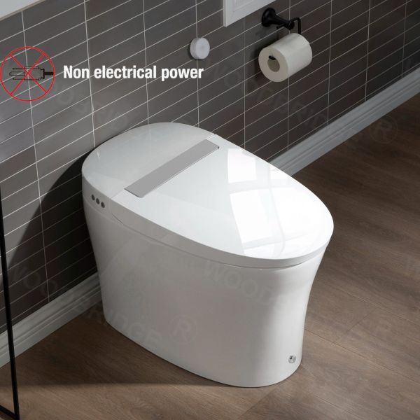 WOODBRIDGE BW5100S One Piece Modern,Slim, Tankless and High Efficiency Toilet with Battery Operated Auto Flushing