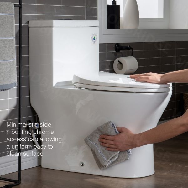  WOODBRIDGE Moder Design, Elongated One piece Toilet Dual flush 1.0/1.6 GPF,with Soft Closing Seat, white, T-0032