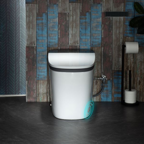 ᐅ【WOODBRIDGE B0930S Smart Bidet Toilet with 1.28 GPF Dua Flush